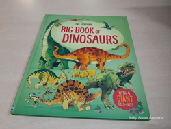 Big Book of Dinosaurs 